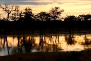 sunset after a rain storm in the Kalahari